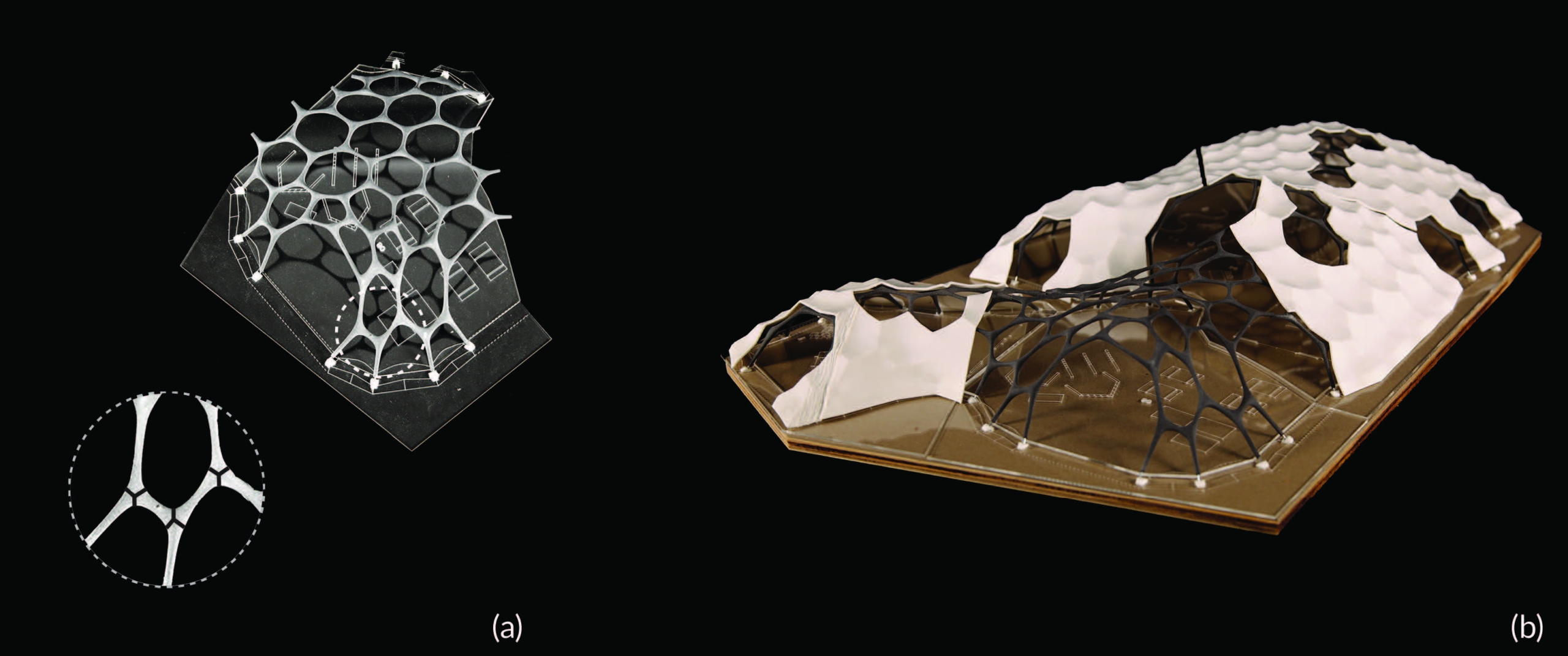 From Fruiting to Building: Exploring Dual-Purpose Mycelium Structures for Circular Economy Strategies￼￼￼