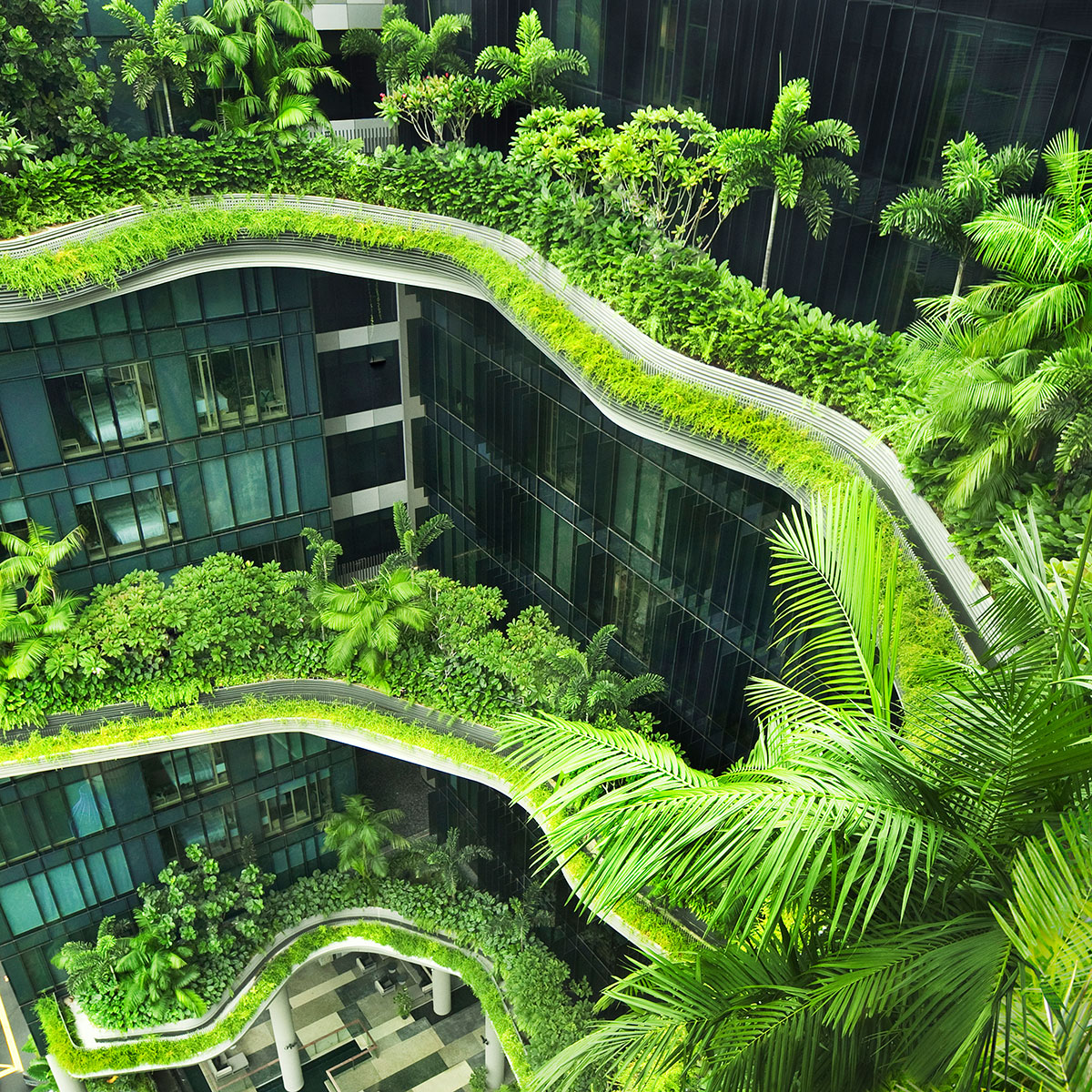 Nature and the City: Measuring the Attention Restoration Benefits of Singapore’s Urban Vertical Greenery