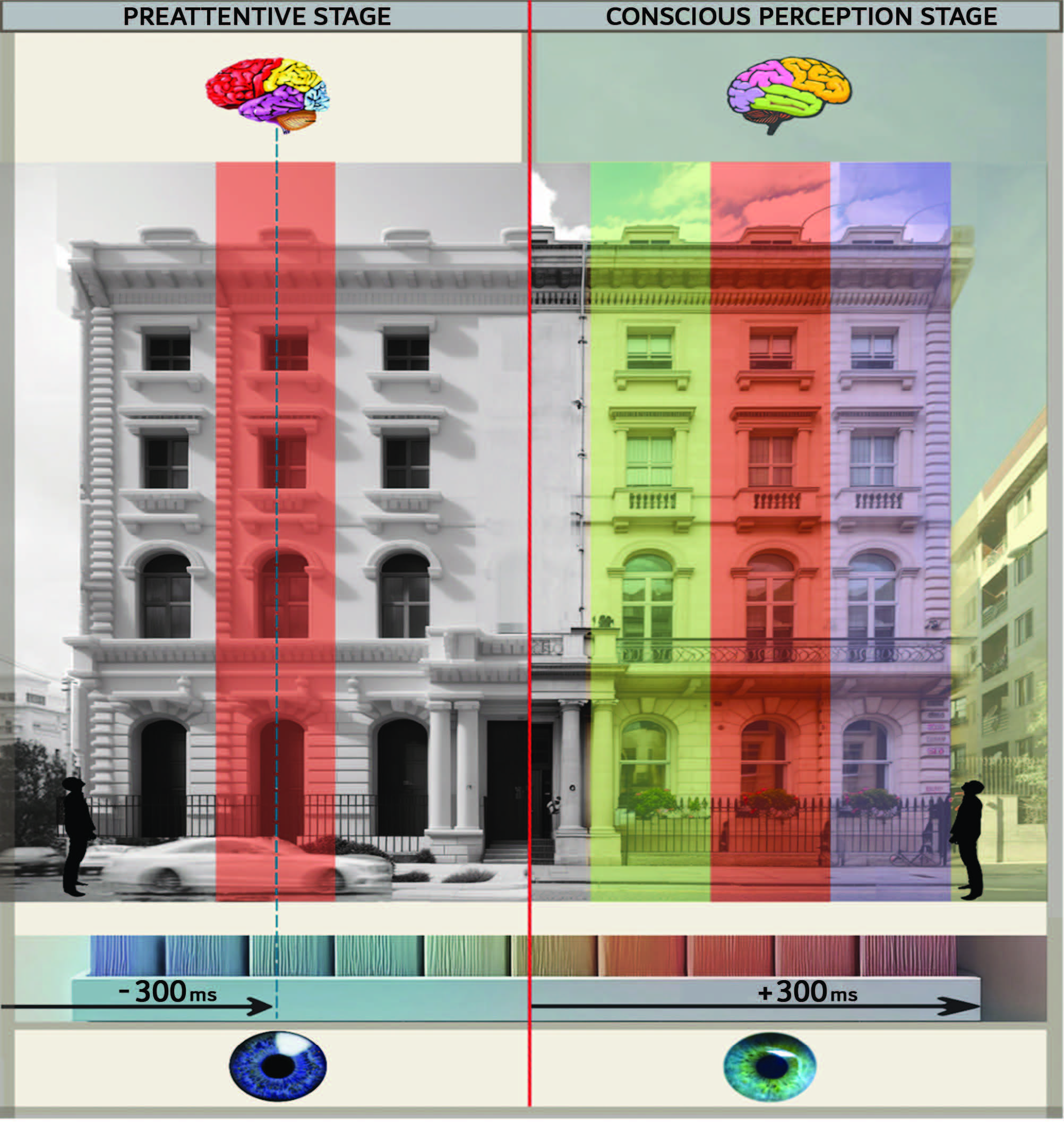 Decoding Proximity Principle Using Visual Attention Software (VAS)￼￼￼